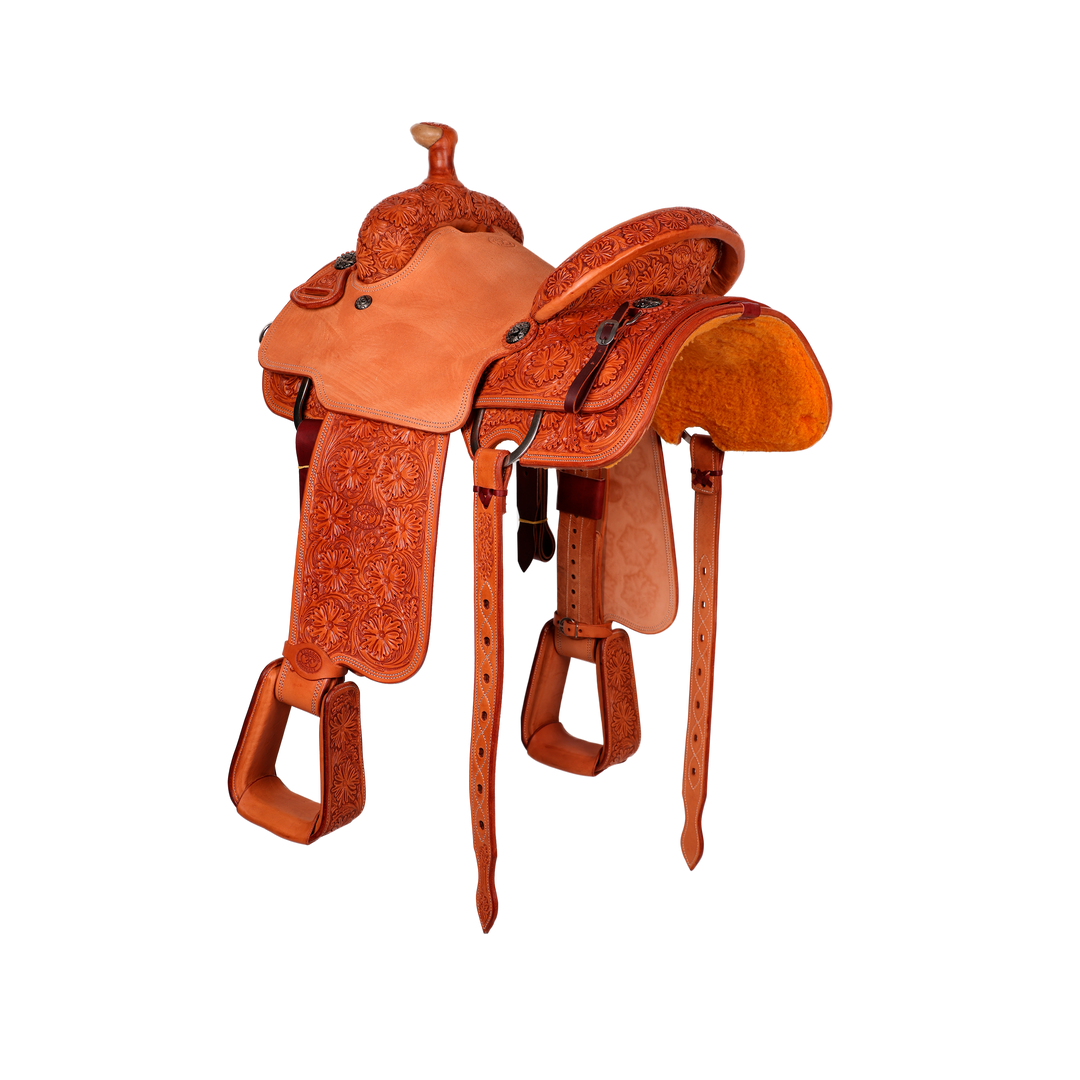 Saddle 14 CT