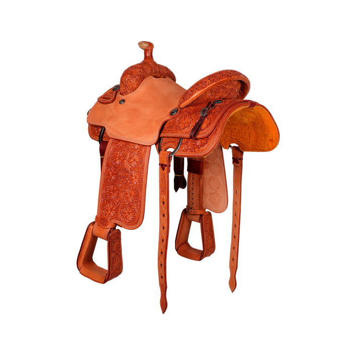 Saddle 14 CT