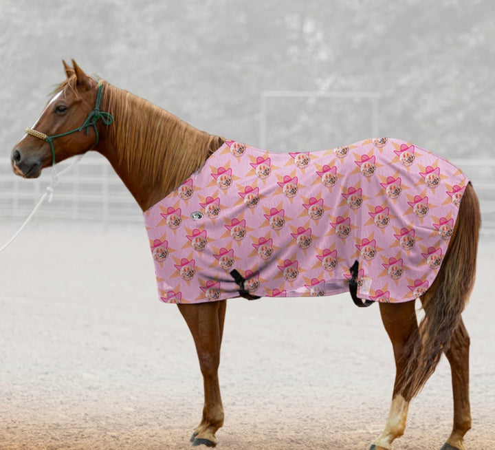 Fly Sheets